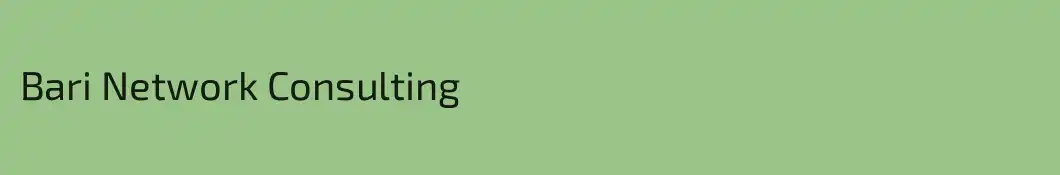 Bari Network Consulting